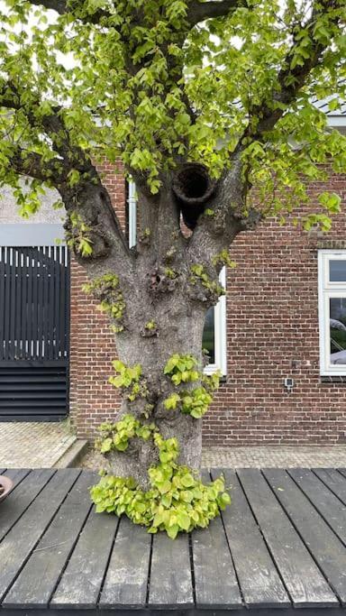 Puur Eastermar - Monumentaal, Authentiek En Luxe Koetshuis Aan Open Vaarwater Met Jacuzzi En Sauna Oostermeer Bagian luar foto