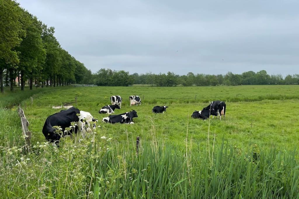 Puur Eastermar - Monumentaal, Authentiek En Luxe Koetshuis Aan Open Vaarwater Met Jacuzzi En Sauna Oostermeer Bagian luar foto